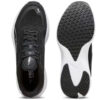Scend Pro «Negro Blanco»