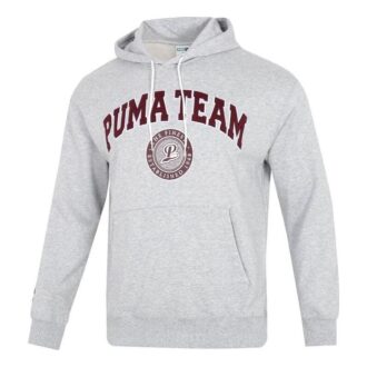 Sudadera con capucha del equipo «Gris»