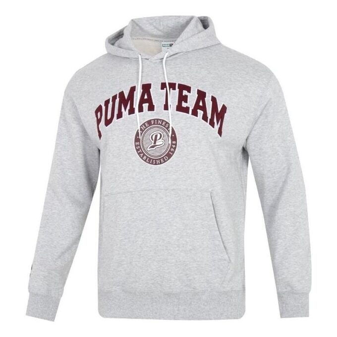 Sudadera con capucha del equipo «Gris»