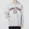 Sudadera con capucha del equipo «Gris»