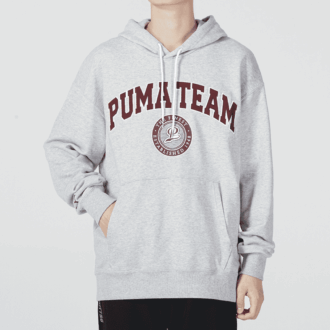 Sudadera con capucha del equipo «Gris»