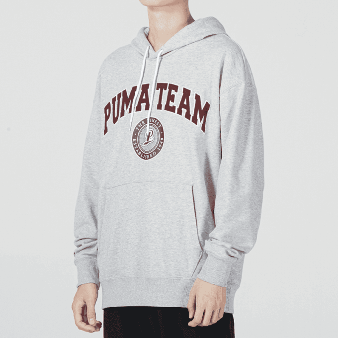 Sudadera con capucha del equipo «Gris»