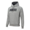 Sudadera con capucha deportiva «gris»