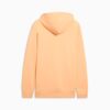 Sudadera con capucha Elevated Essentials para hombre