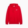 Sudadera con capucha Essentials Men con logotipo pequeño