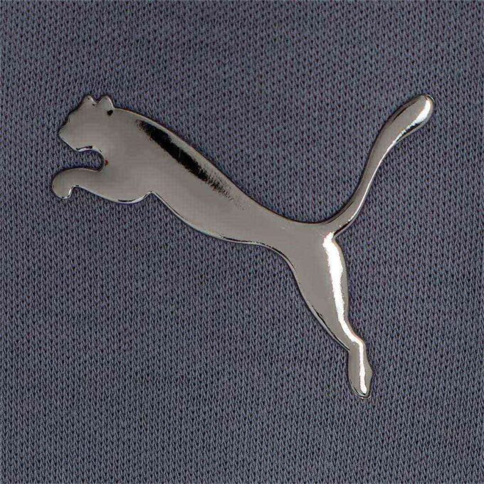 Sudadera con capucha gráfica PUMA x SORAYAMA «Gris»
