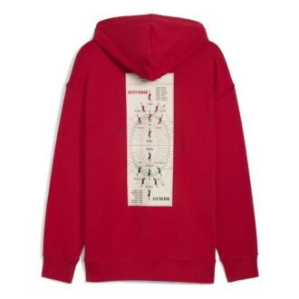Sudadera con capucha relajada PUMA x Harry Potter «Dark Crimson»