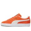 Suede Classic 21 «Follaje de otoño»