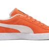 Suede Classic 21 «Follaje de otoño»