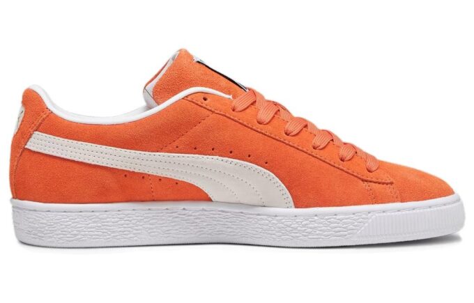 Suede Classic 21 «Follaje de otoño»