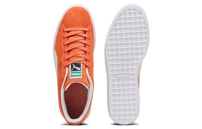 Suede Classic 21 «Follaje de otoño»