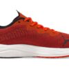 Velocity Nitro 2 «Tomate Cherry»