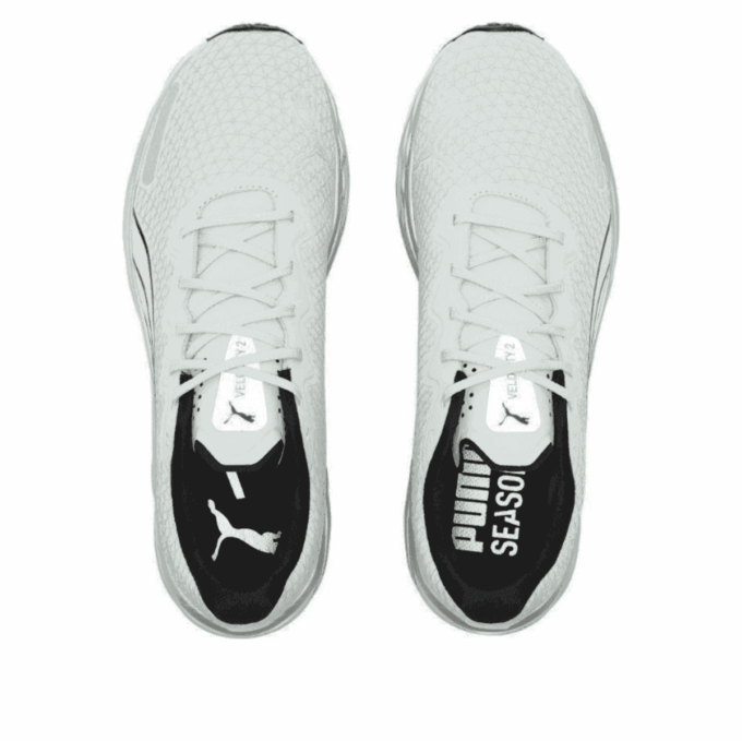 Velocity Nitro 2 WTR «Blanco azulado»
