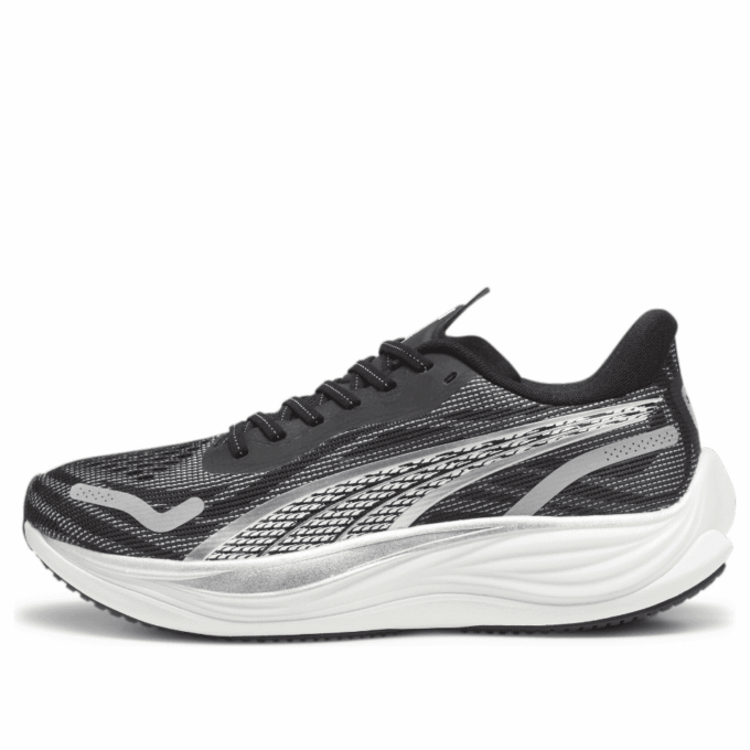 Velocity Nitro 3 «Azul Blanco Plata»