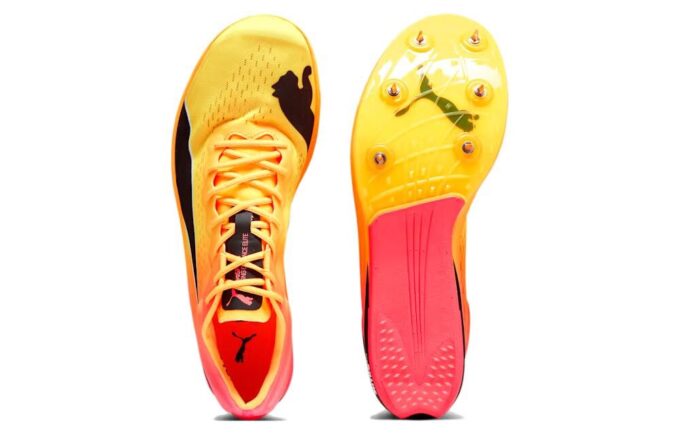 Zapatillas de clavos EvoSPEED Long Distance Nitro Elite+ «Naranja»