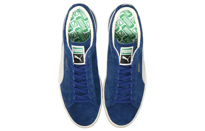Zapatos de skate «Azul Gris»